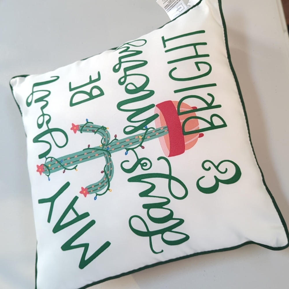 Holiday cactus throw pillow. Approximately 16 in x 16 in